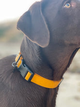 Load image into Gallery viewer, Waterproof Dog Collar
